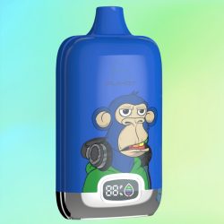 R and M Tornado 12000 Blueberry Raspberry Geschmack - RandM Vape Deutschland