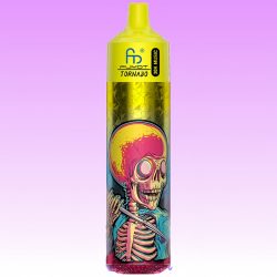 R and M Tornado 30000 Blueberry On Ice - RandM Vape Deutschland