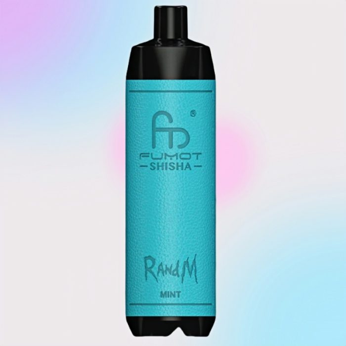 Randm Shisha 10K Mint Geschmack - RandM Vape Deutschland