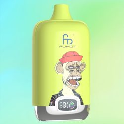 Randm Digital Box 12000 Strawberry Kiwi Geschmack - RandM Vape Deutschland